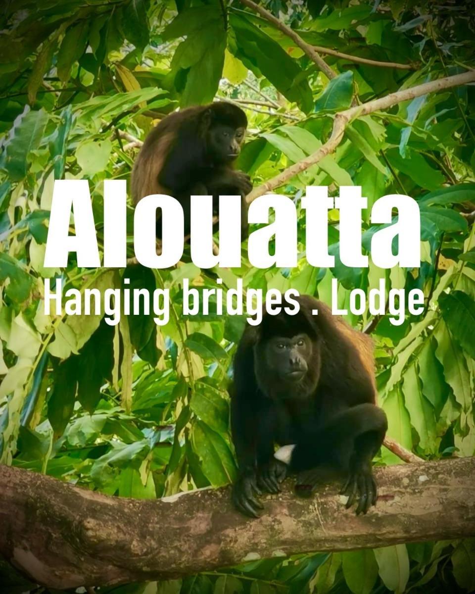 Alouatta Lodge And Canopy Cahuita Exterior photo