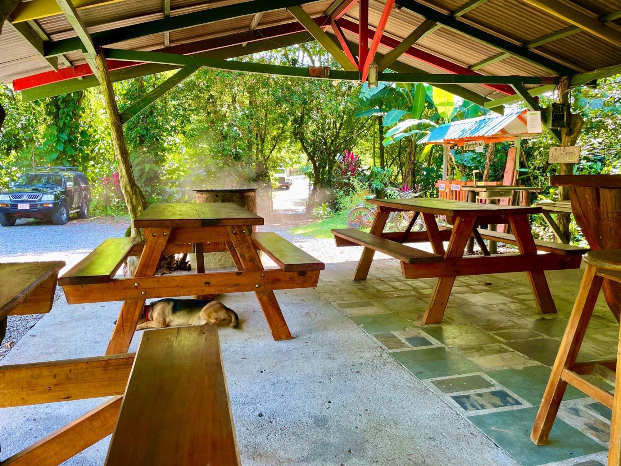 Alouatta Lodge And Canopy Cahuita Exterior photo
