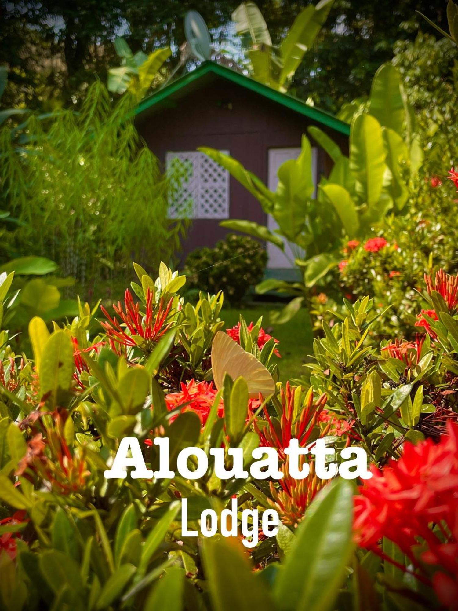 Alouatta Lodge And Canopy Cahuita Exterior photo