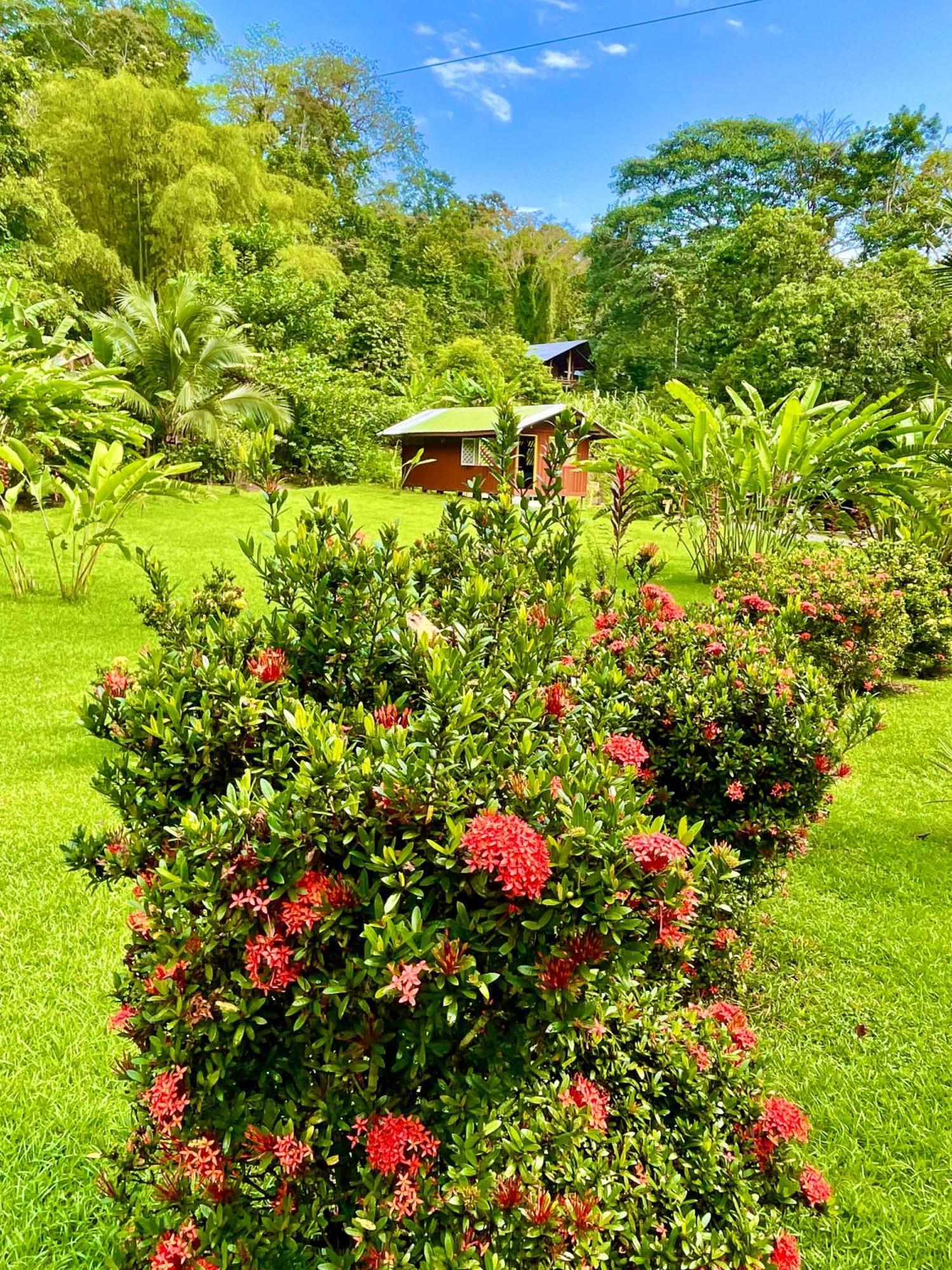 Alouatta Lodge And Canopy Cahuita Exterior photo