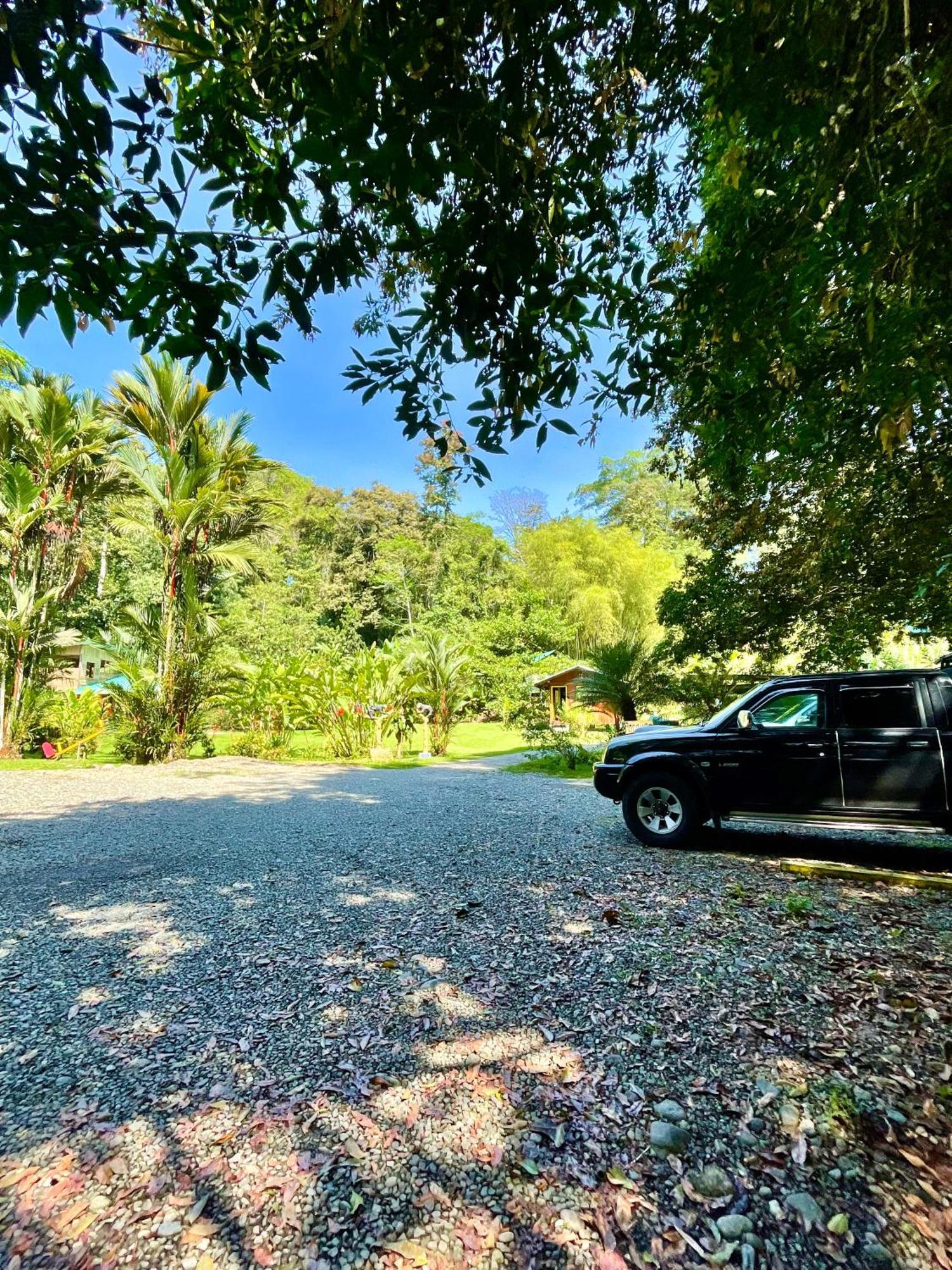 Alouatta Lodge And Canopy Cahuita Exterior photo