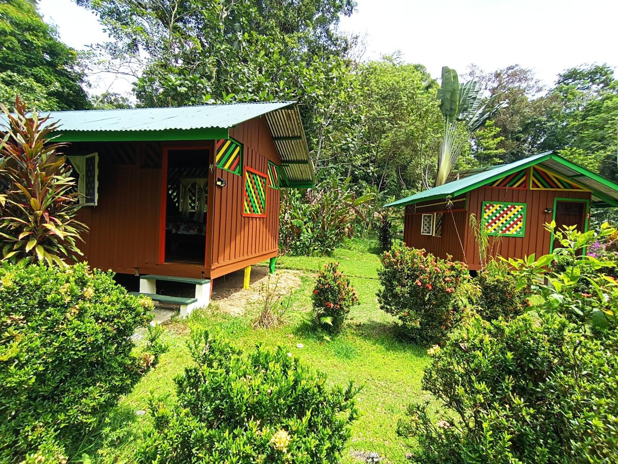 Alouatta Lodge And Canopy Cahuita Exterior photo