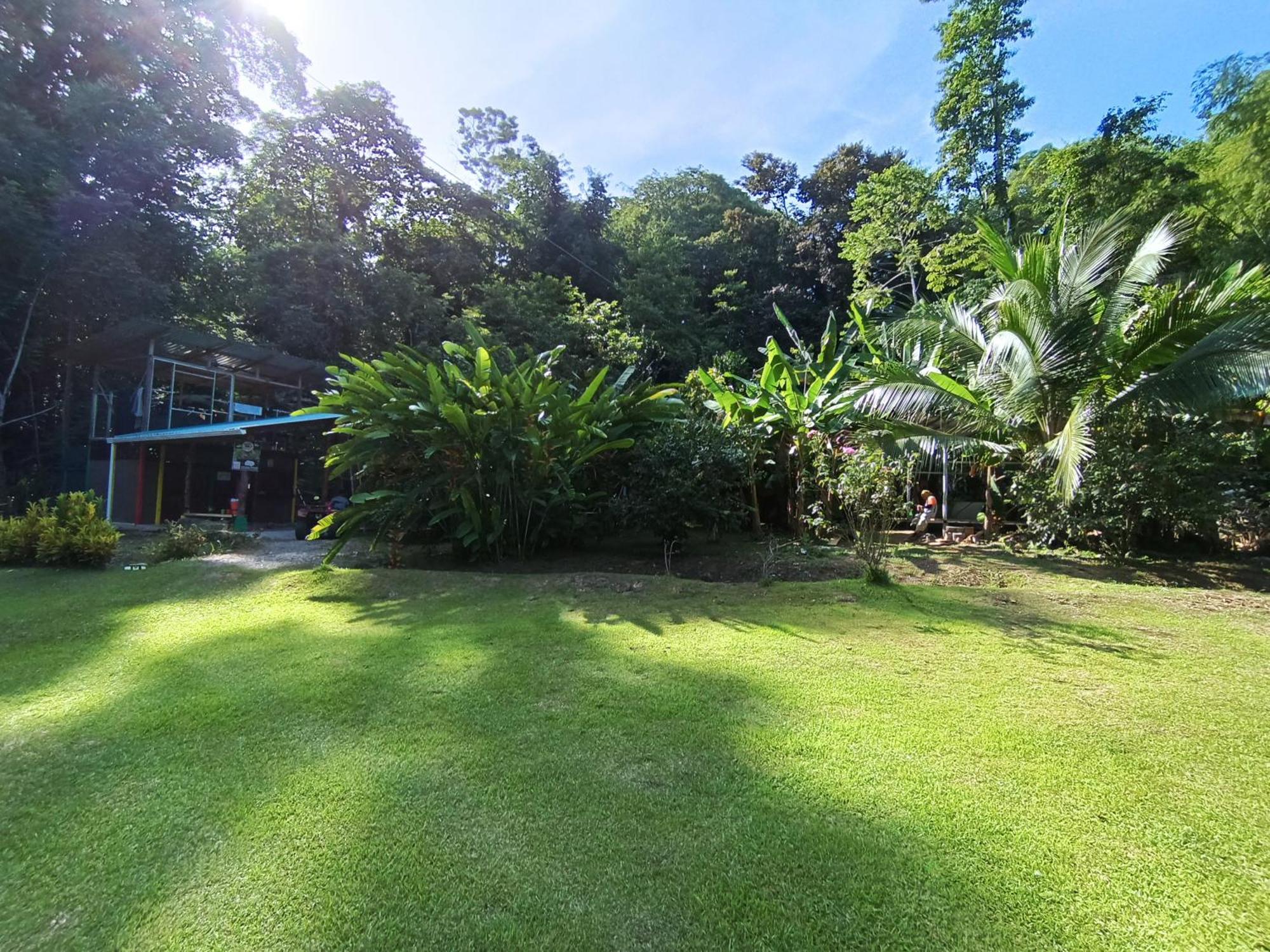 Alouatta Lodge And Canopy Cahuita Exterior photo